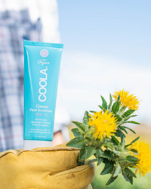 Coola Face Sunscreen White Tea SPF 50 by coola from Marina St Barth
