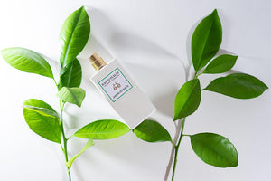 Eau d'Italie Jardin du Poete by Eau d'Italie from Marina St Barth