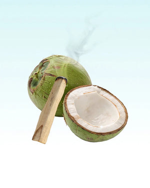 Glasshouse - 8.4 fl. oz. Diffuser - Balmy Breeze