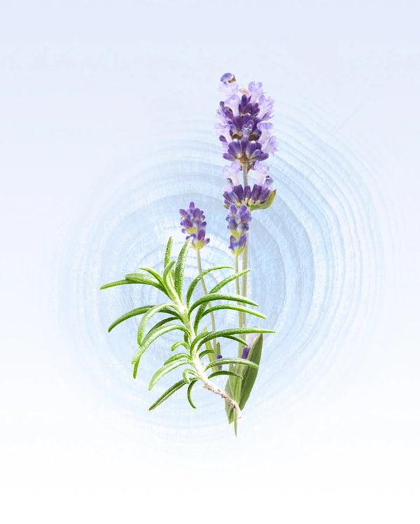 Glasshouse - 0.47 fl.oz. EDP - Diving into Cyprus by Glasshouse from Marina St Barth