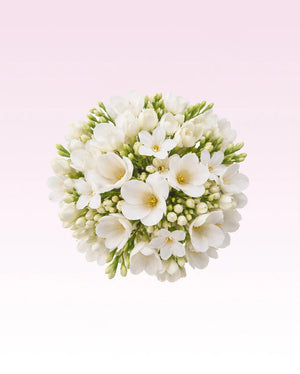 Glasshouse - Scent Stems - Rendezvous