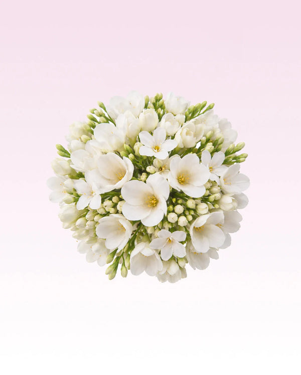 Glasshouse - Scent Stems - Rendezvous