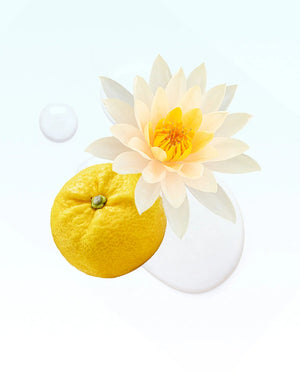 Glasshouse - Scent Stems - Velvet Rhapsody by Glasshouse from Marina St Barth