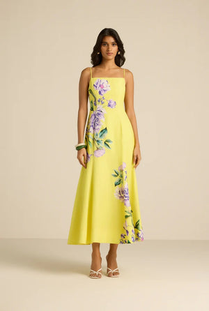 Vama Paneled Midi Dress