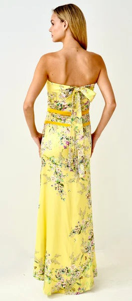 Paris Birdsong Silk Dress