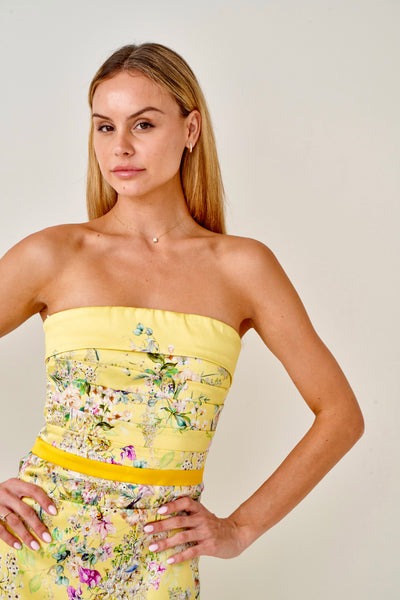 Paris Birdsong Silk Dress