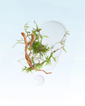 Glasshouse - 2.1 oz. Candle - The Hamptons