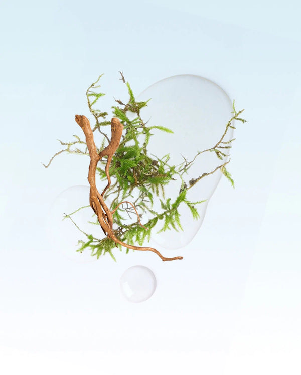 Glasshouse - 2.1 oz. Candle - The Hamptons