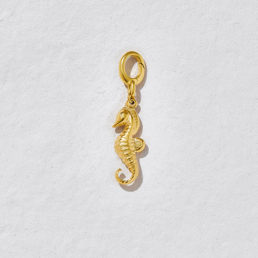 Stormy Sea Horse Charm by Ashiana from Marina St Barth