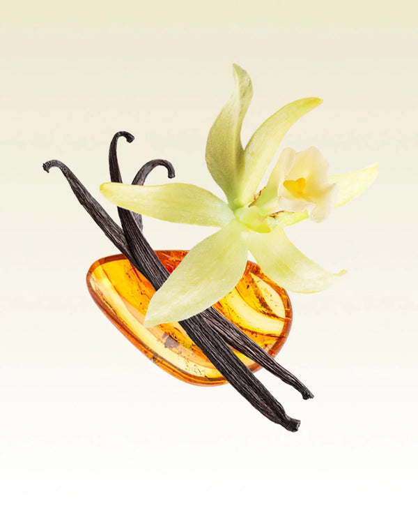 Glasshouse - 13.4 oz. Candle - Kyoto in Bloom
