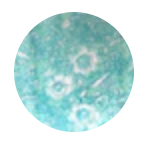 Neo Baya Skirt by Les Neobourgeoises from Marina St Barth