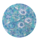 Neo Baya Skirt by Les Neobourgeoises from Marina St Barth